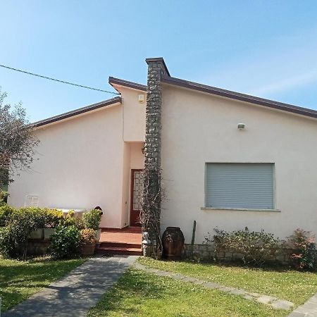 Casa Del Nonno Pietrasanta Exterior foto