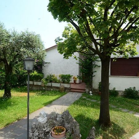 Casa Del Nonno Pietrasanta Exterior foto